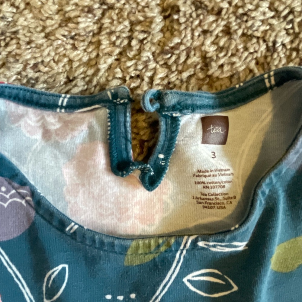 3T toddler girls dress bundle BabyGap and Tea Collection   |    2 pieces total - Picture 4 of 9